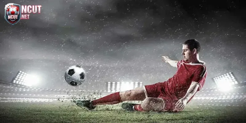 Tỷ lệ Odds Mỹ